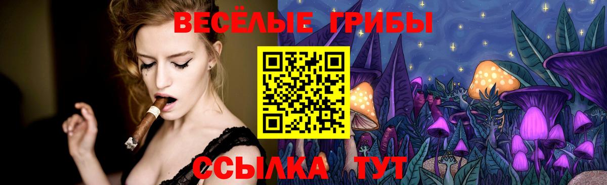 Псилоцибиновые грибы ЛСД Видное